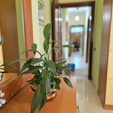 דירה By Old With Sea Views *